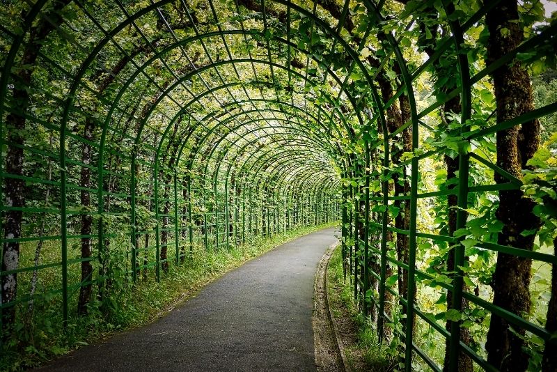 Timber pergola walkway connecting two sections of a backyard deck
